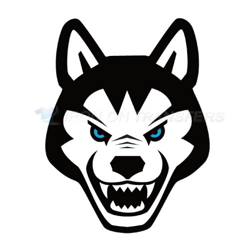 Northeastern Huskies Logo T-shirts Iron On Transfers N5639